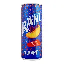 Rani Peach Fruit Drink 240Ml