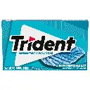 Trident Gum Wintergreen