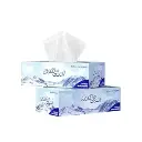 Cool & Cool Soft Pack Tissue 300 Sheets