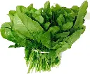 Spinach