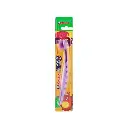 Shield Hippo Brush Champ